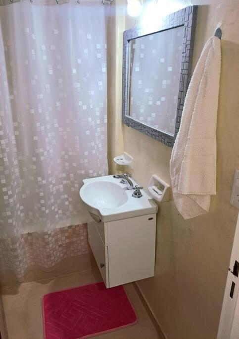 Apartment Comodo Y Completo En Ideal Grupos Grandes Familias Buenos Aires